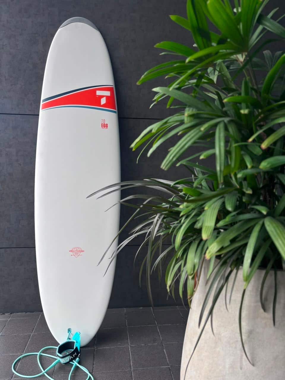 Tahe Egg Duratec 7'0