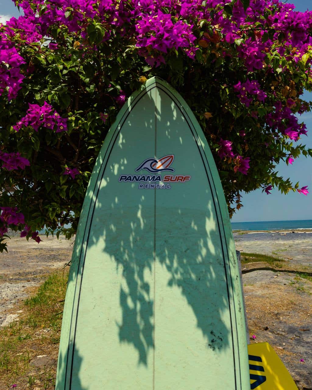 Surfboard ready for a Panama beach day